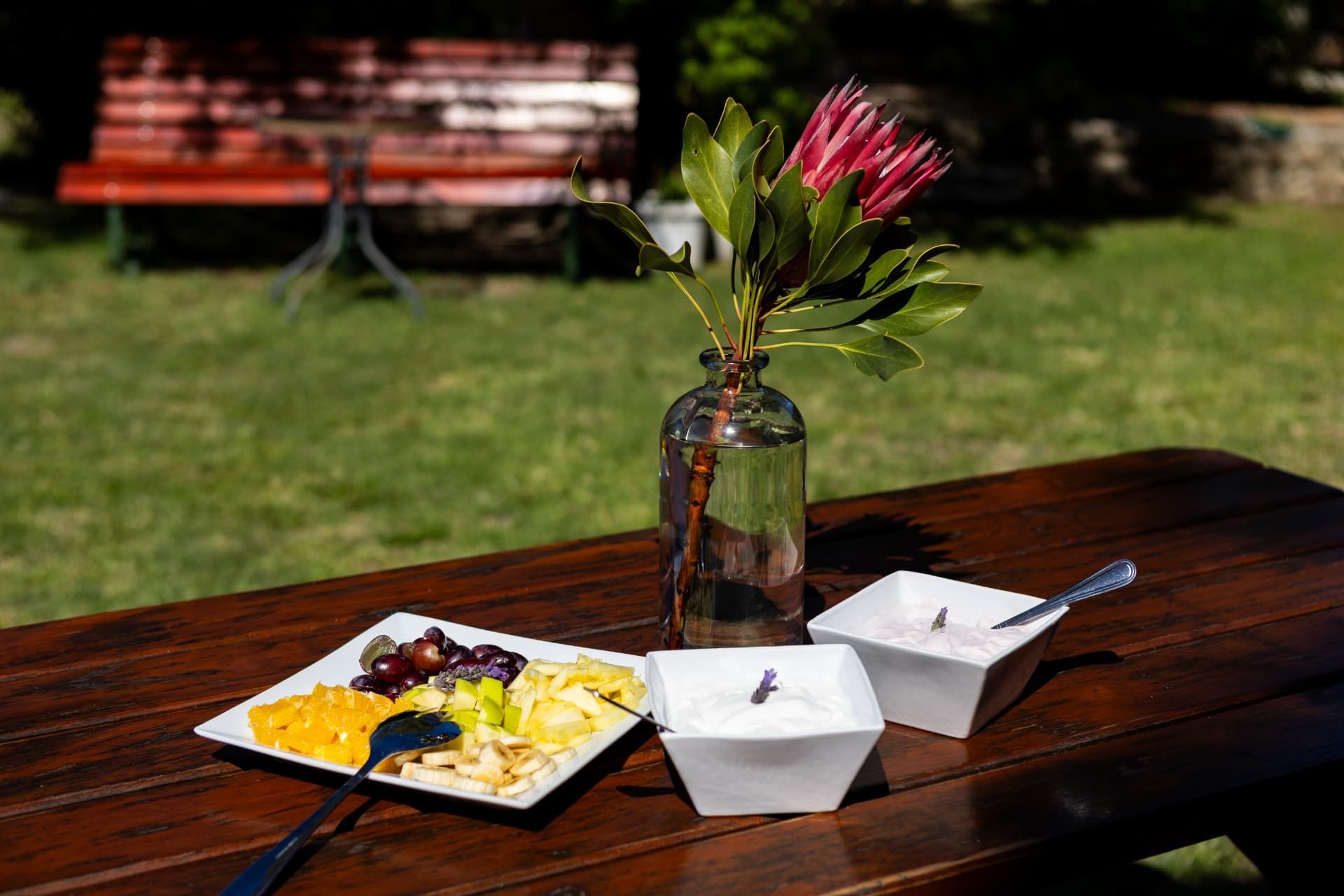 Outdoor breakfast of fresh fruit and yoghurt