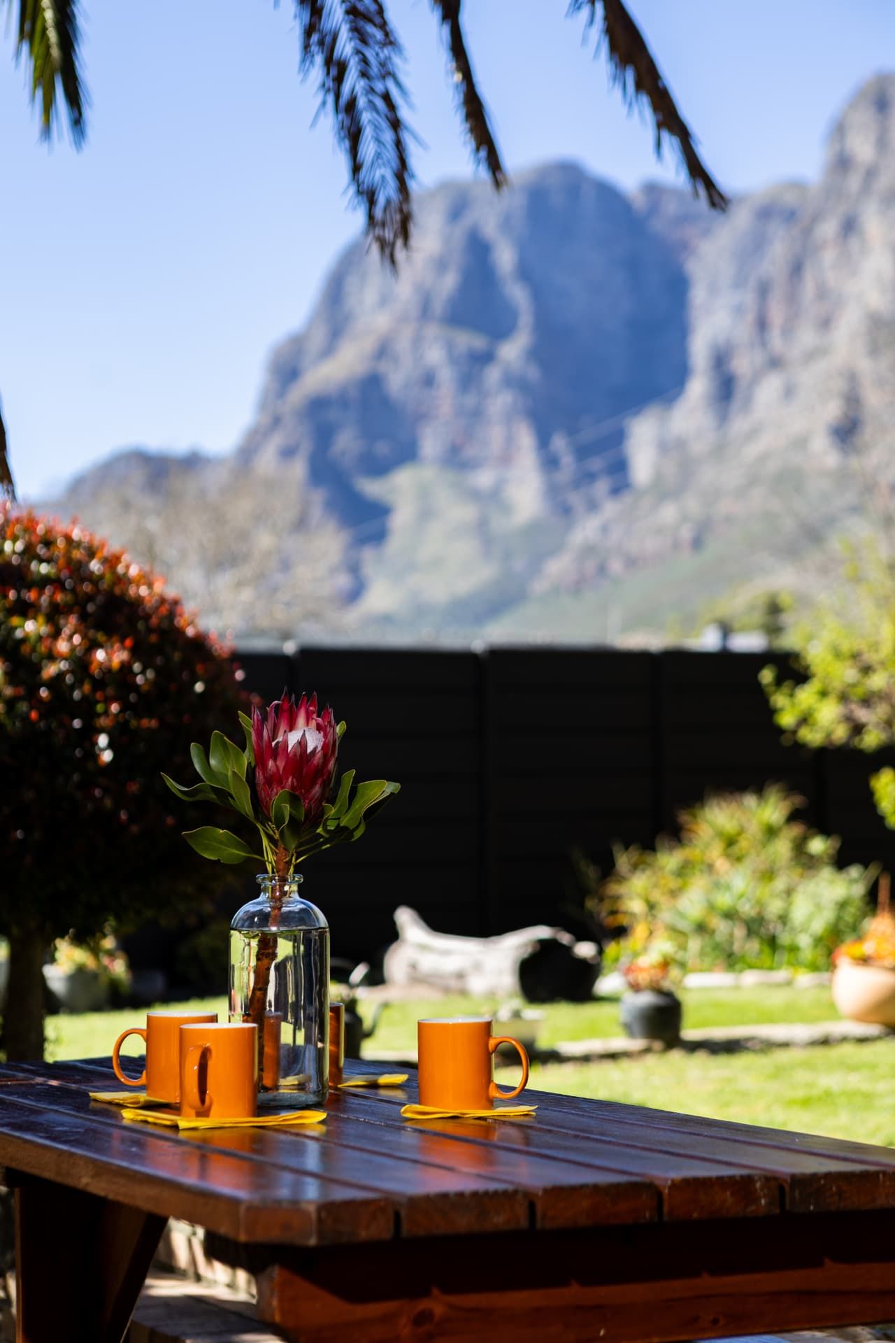 Protea and coffee mugs on the garden table