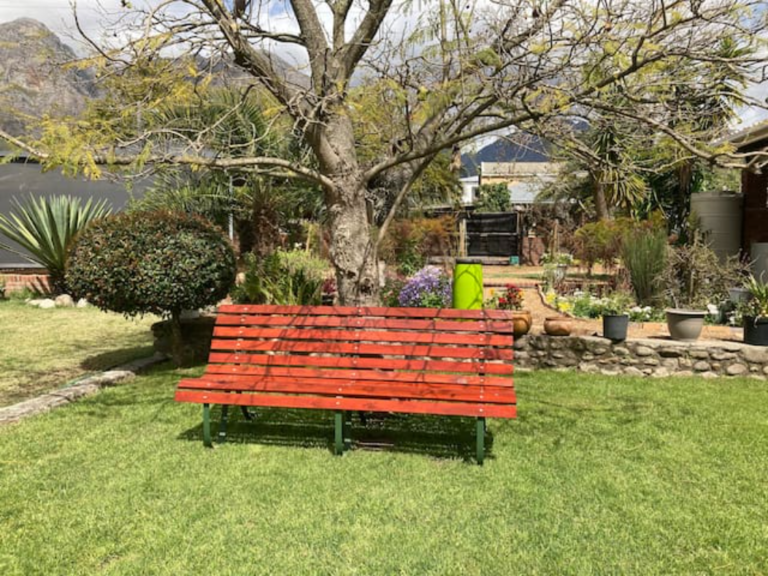 Red garden bench on the lawn beneath a tree with mountain views